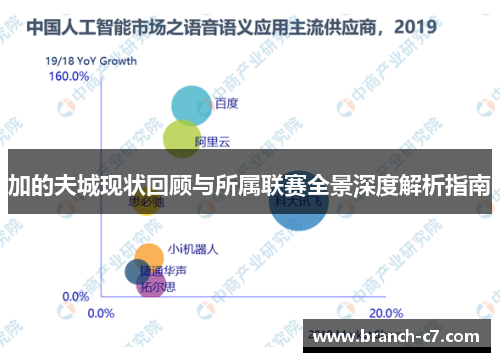 加的夫城现状回顾与所属联赛全景深度解析指南